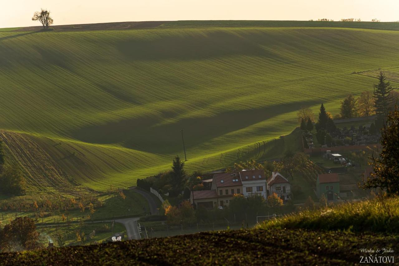 Penzion U Bustiku Sardice 外观 照片